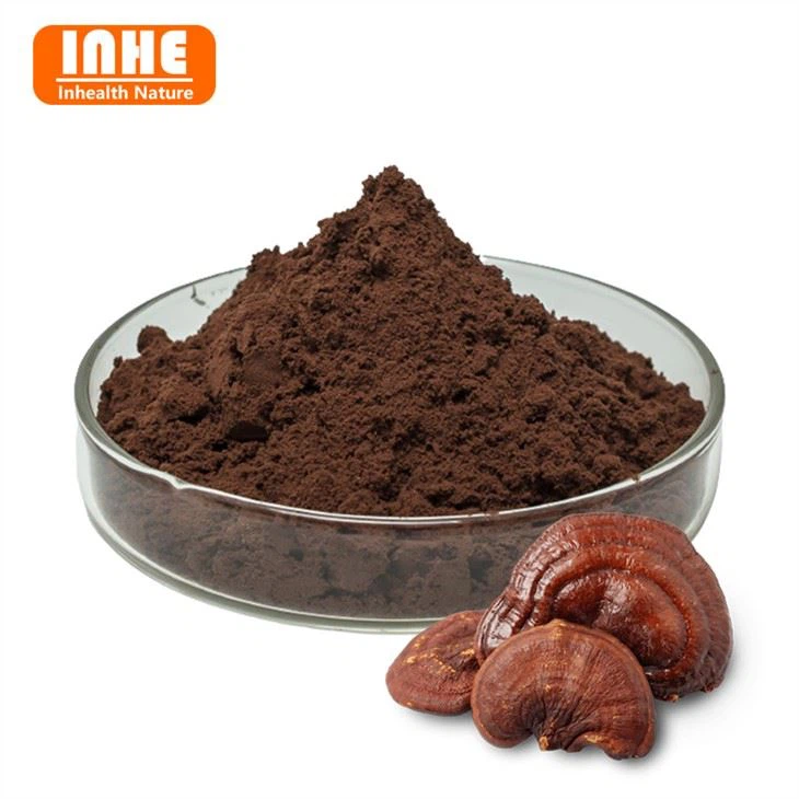 Bột bào tử Reishi