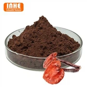 Bột chiết xuất Reishi