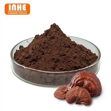 Bột bào tử Reishi