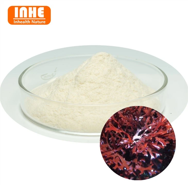 Bán buôn bột thạch agar