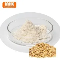 Bột chiết xuất yến mạch