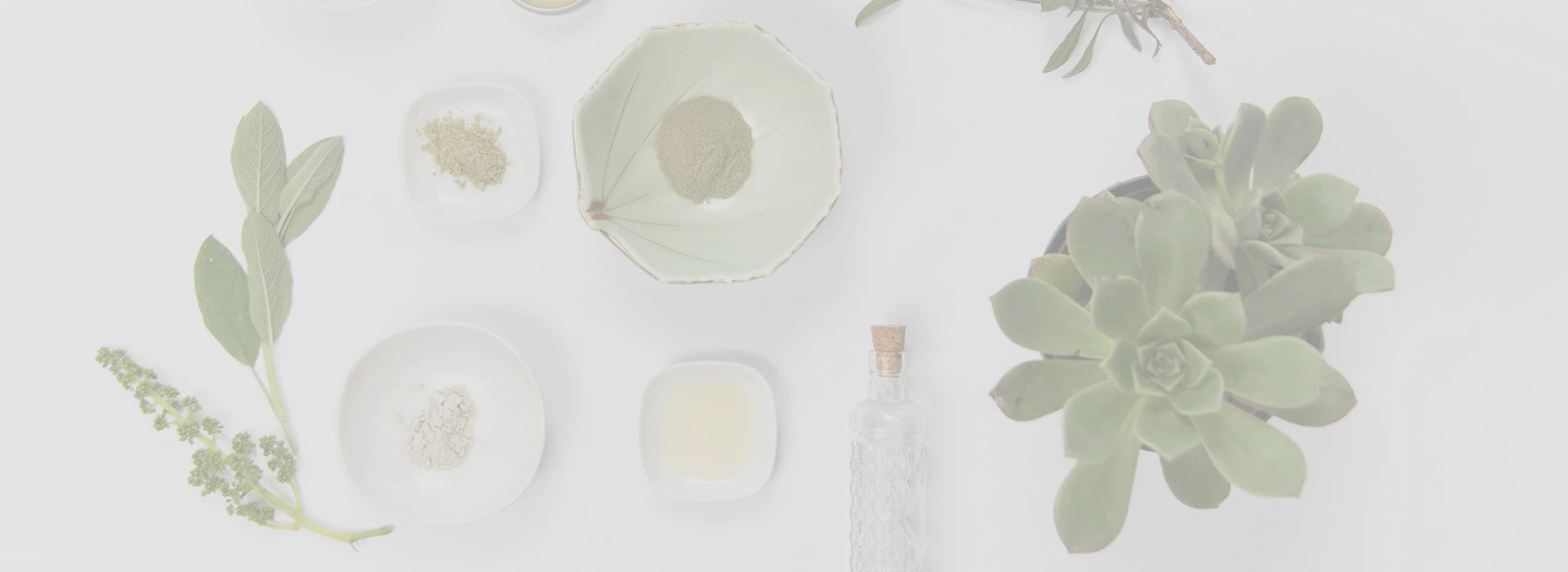 Thiểm Tây  Sức khỏe  Thiên nhiên  Ngành  Công ty  Công ty TNHH