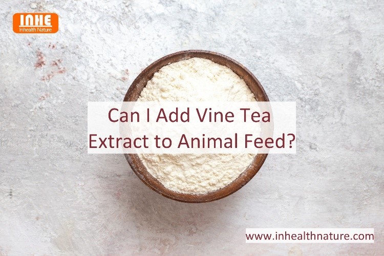 Can I Add Vine Tea Extract to Animal Feed