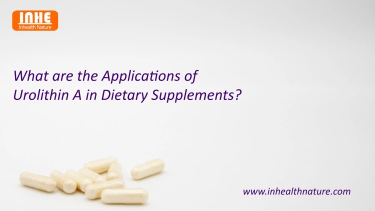 What are the Applications of Urolithin A in Dietary Supplements
