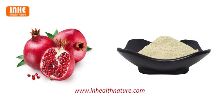 Pomegranate Fruit and Urolithin A Bulk Powder