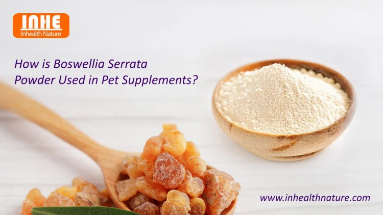 How is Boswellia Serrata Powder Used in Pet Supplements How is Boswellia Serrata Powder Used in Pet Supplements