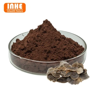 2-Turkey Tail Mushroom Extract Powder