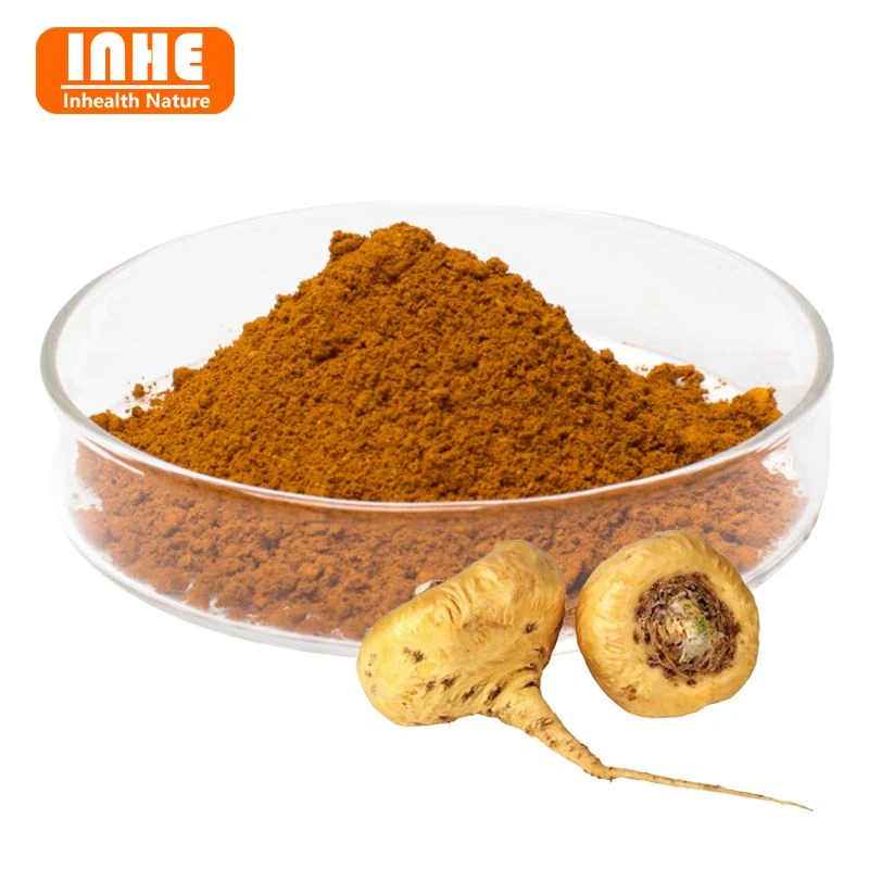 Bột chiết xuất Maca