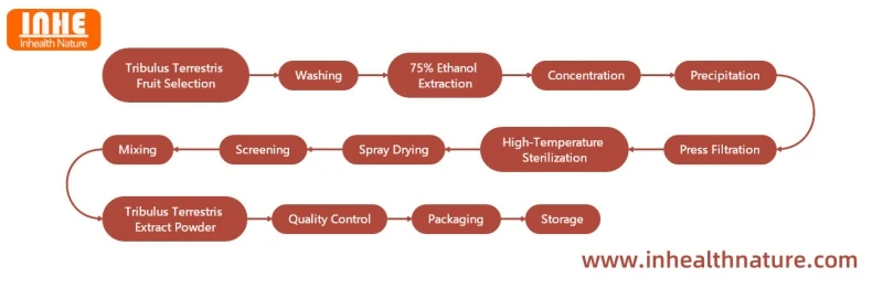 Tribulus Terrestris Extract Powder Flow Chart