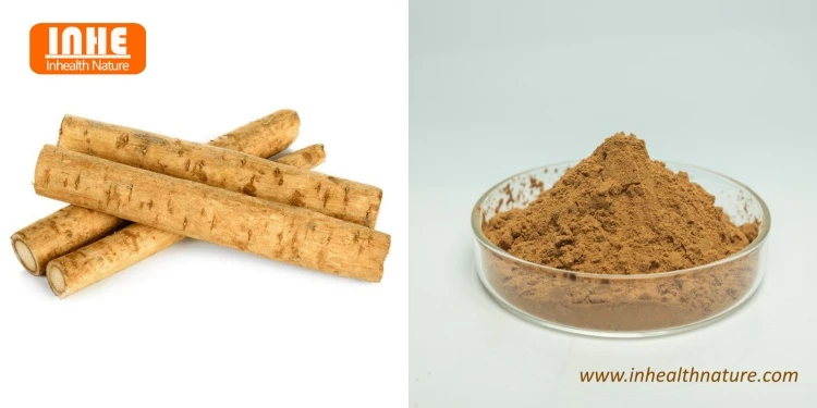 Burdock Root and its Extract